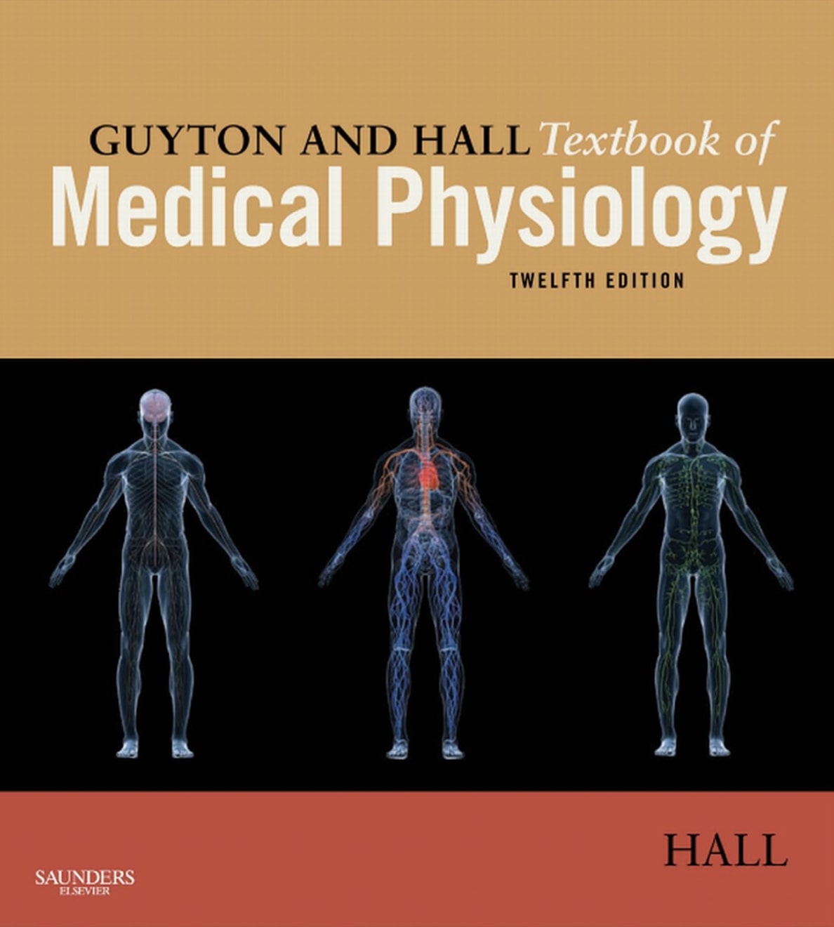 Guyton and Hall Textbook of Medical Phys