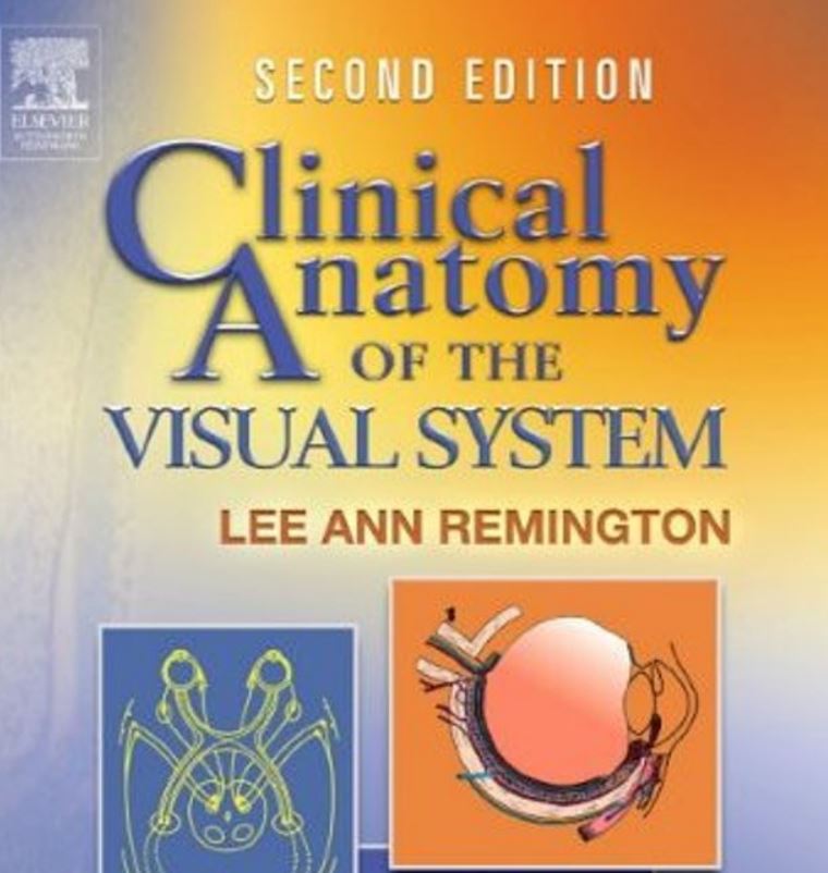 CLINICAL ANATOMY OF THE VISUAL SYSTEM