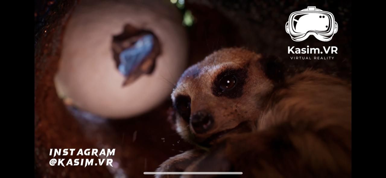 default image