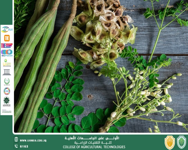 Scientific Article for Prof. Dr. Majeed Kadhim Abbas titled The Miracle Tree