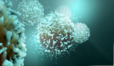 تم نشر مقالة علمية  للدكتورة رشا فاضل عبيد بعنوان Kefir and Cancer