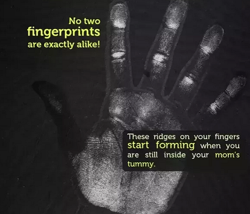 default image