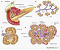 default image