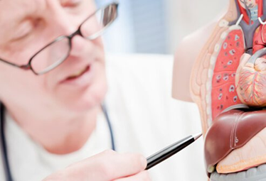 تم نشر مقالة علمية للدكتورة ( رشا فاضل عبيد) بعنوان Hepatitis C (Hep C) Symptoms and Treatment