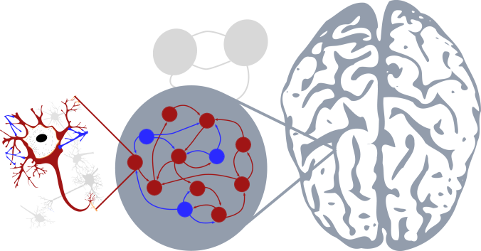 default image