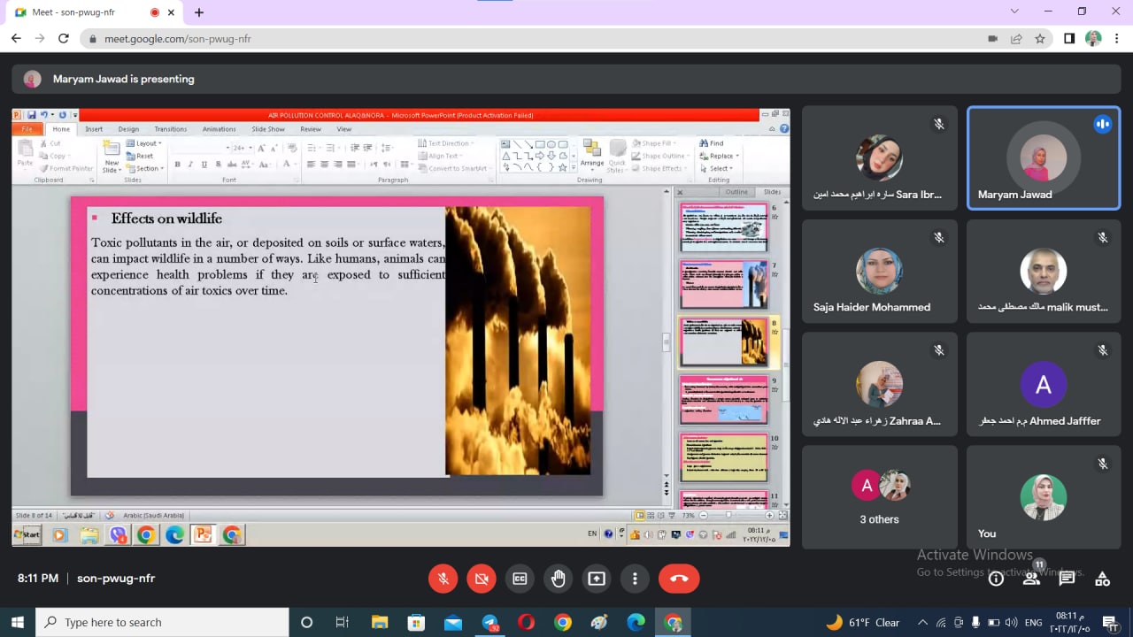 default image
