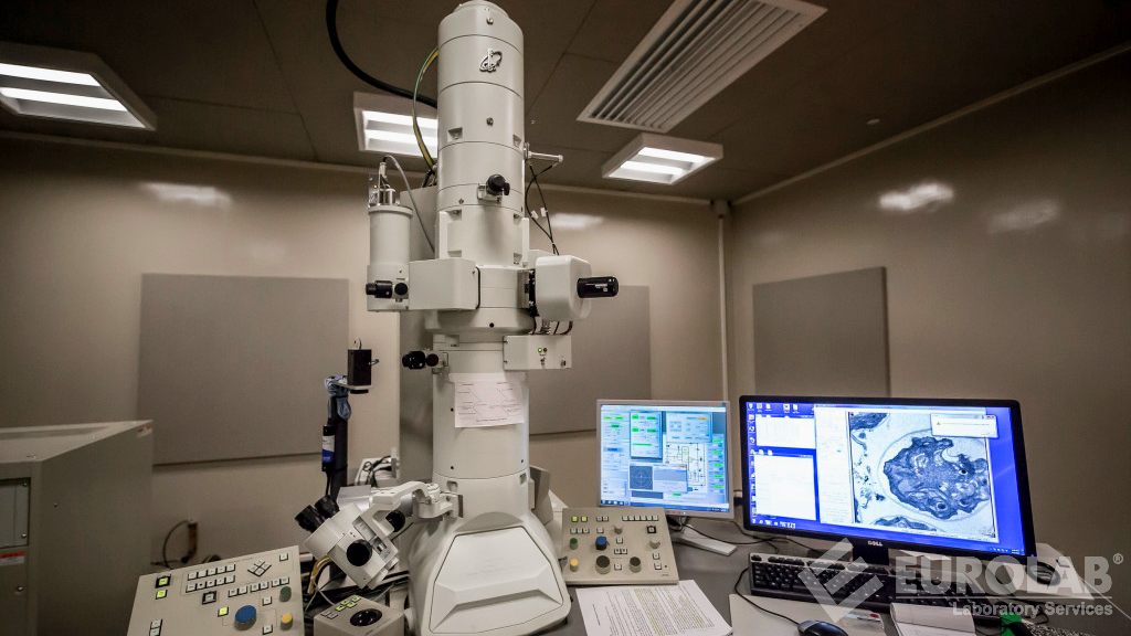 المجاهر الإلكترونية Electron Microscopes 
