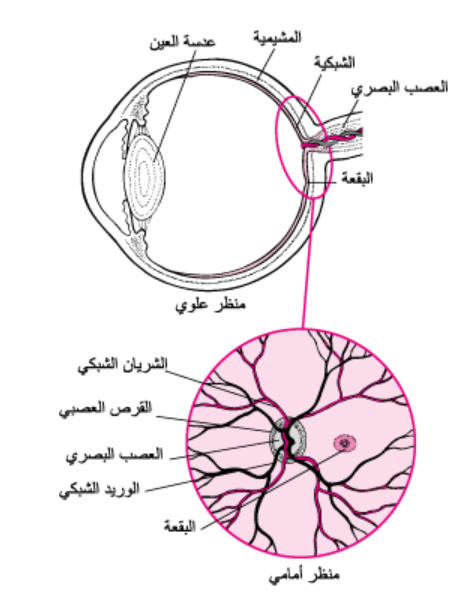 default image