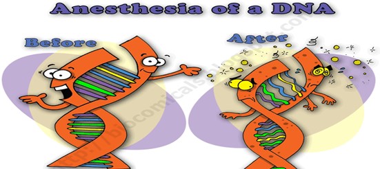Neuraxial Anesthesia as General Anesthesia Damage DNA
