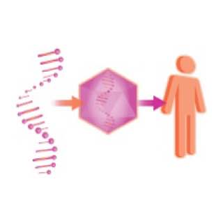 Gene therapy Scientific article By dr Rawaa Majid