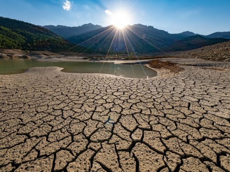  ظاهرة التصحر (Desertification)  م.د صفا حسن محمد
