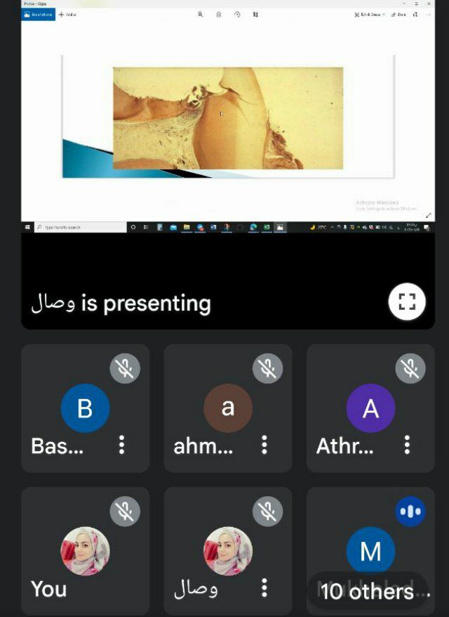 default image