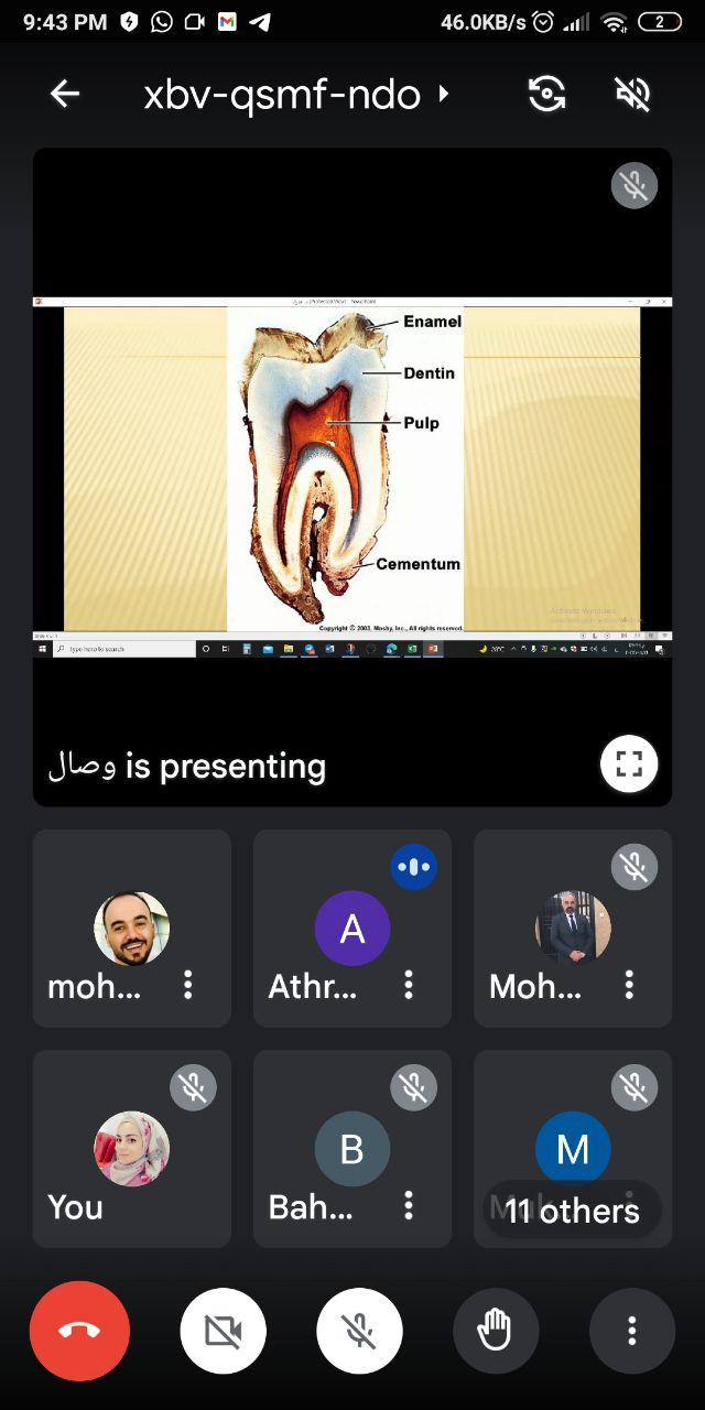 default image