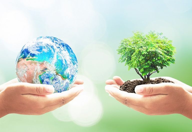 التصـــالـــح مـــع الـــطــبيـــــعة يوجد بلايين المجرات في هذا الكون "لكن لا نملك سوى أرض واحدة" م.م. ريم طعمة 