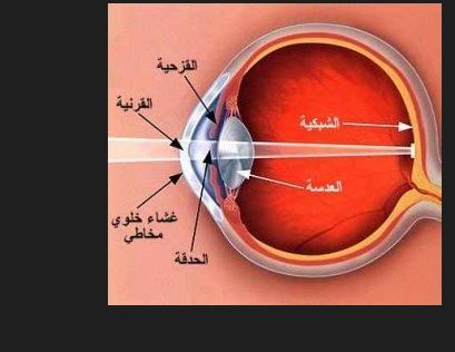 ورشه علمية الكترونية للمعيد علي هادي بعنوان (ضغط العين انواعه وعلاجه )