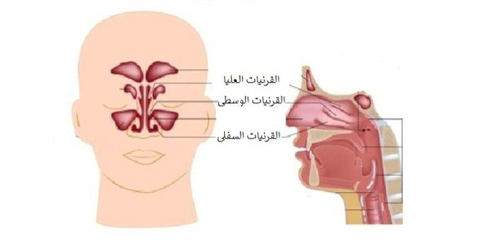 default image