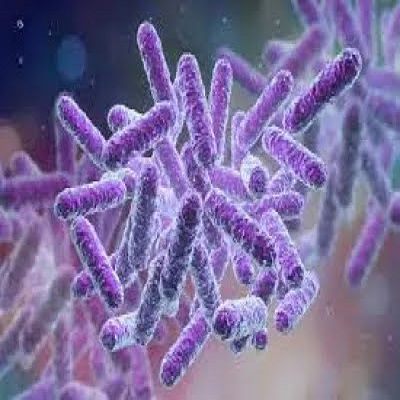 الفرق بين البكتيريا والفايروسات وطرق علاج الإصابة بهما
