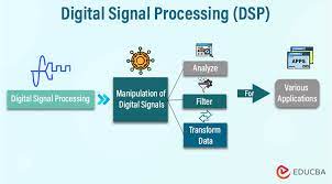 Application of Signal Processing in Biomedical Engineering