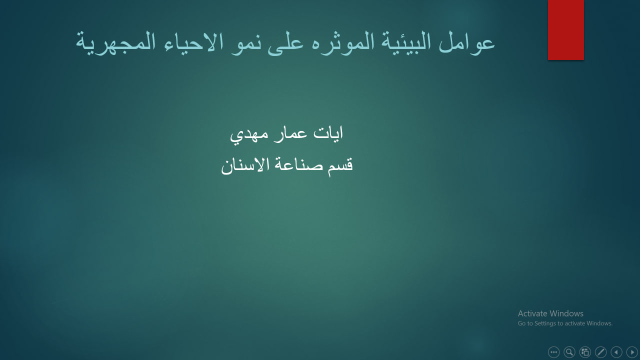 default image