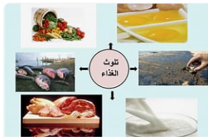 مقاله علمية للتدريسية (م.د سارة كامل عبود) بعنوان"" التلوث الغذائي""