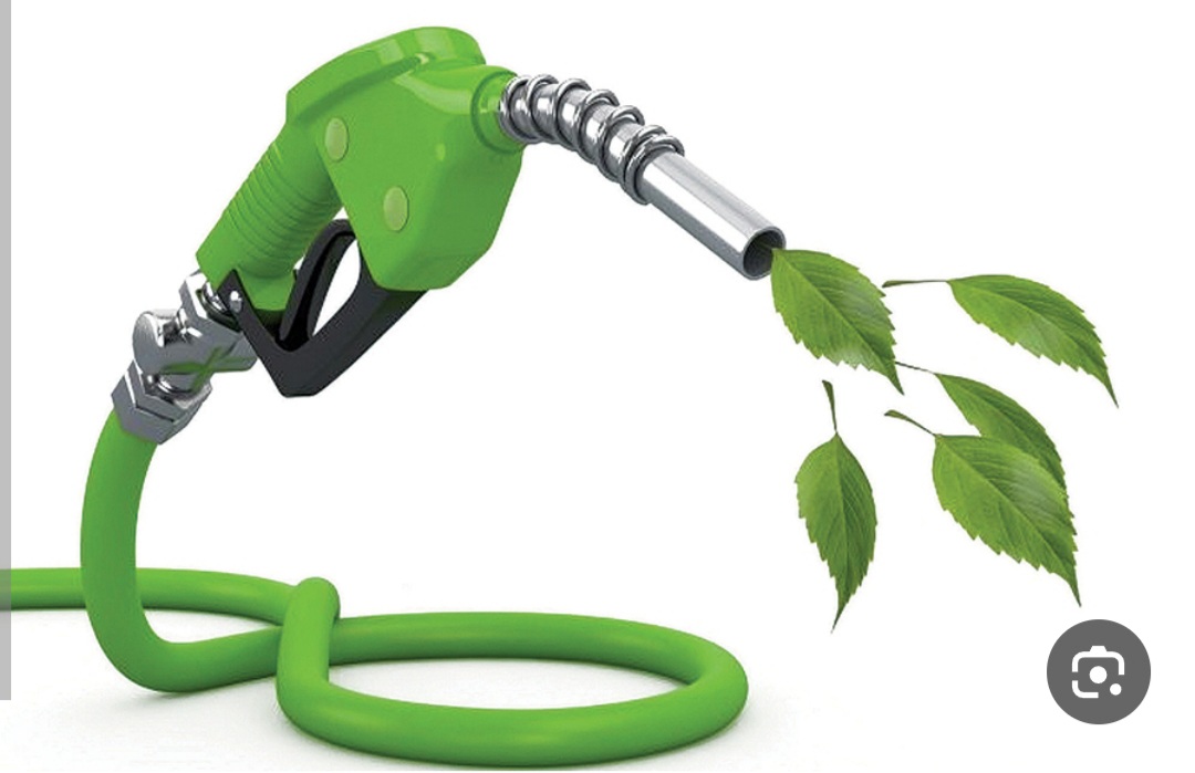 default image