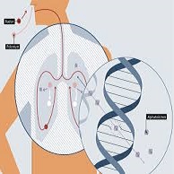 The Impact of Radon Gas on Human Fertility: Understanding the Risks