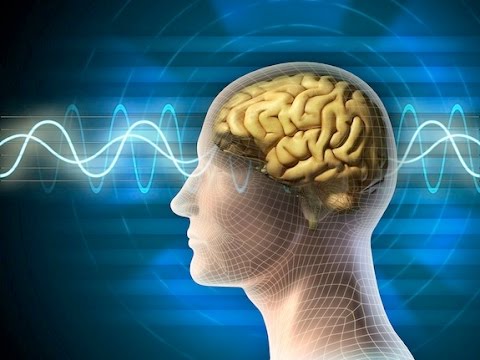 مقال للدكتور ( م.د. اصيل عامر هادي )  الفيزياء والفسيولوجيا في جسم الإنسان