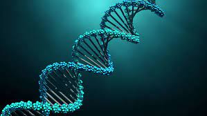 الحمض_النووي_DNA