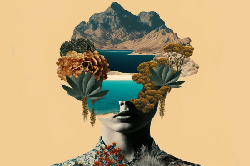default image
