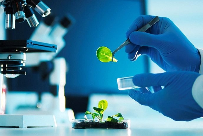 مقالة علمية بعنوان (البيولوجيا الطبية Medical biology)