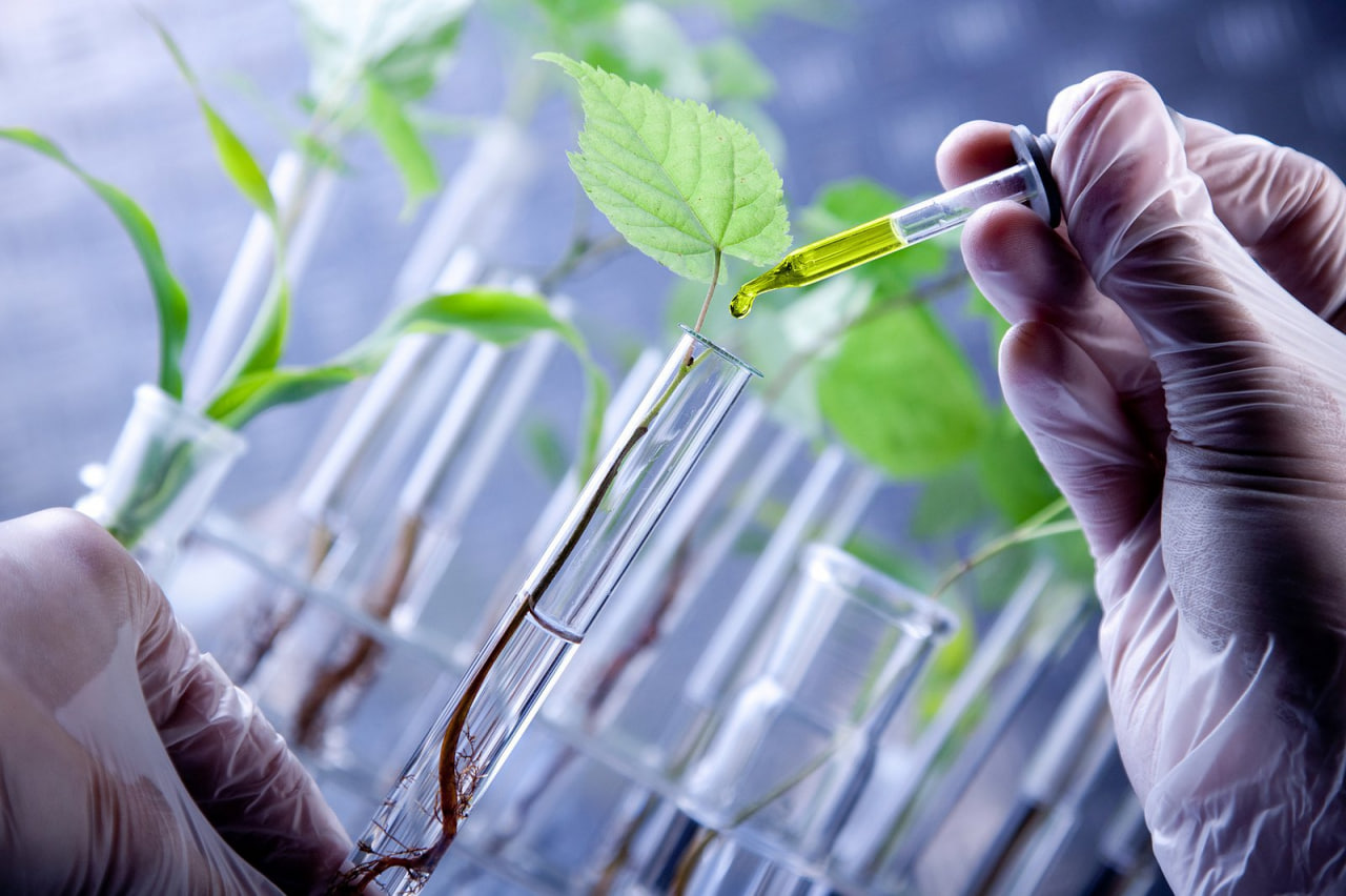  Biotechnology  " التكنولوجيا الحيوية"