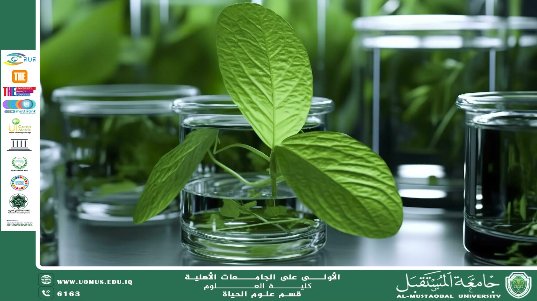 A scientific article by Ms. Noor Al-Huda Azmi Hassan entitled "Medicinal plants in biology"
