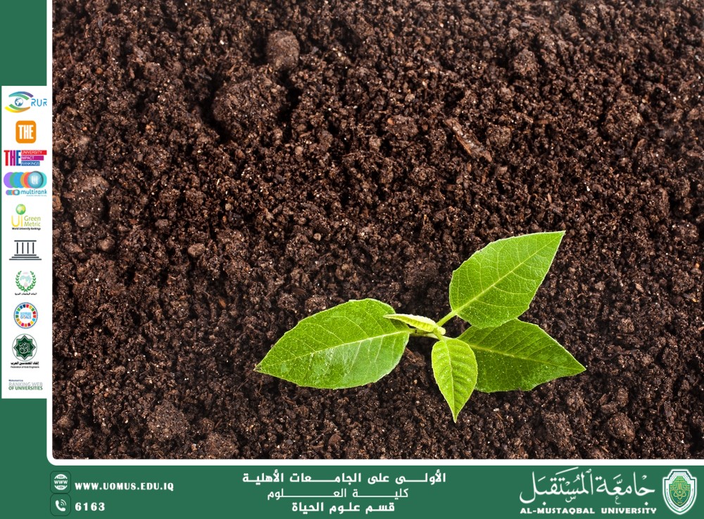 مقالة علمية للانسة نور الهدى عزمي حسن بعنوان " العلاقة بين النبات والبيئة "
