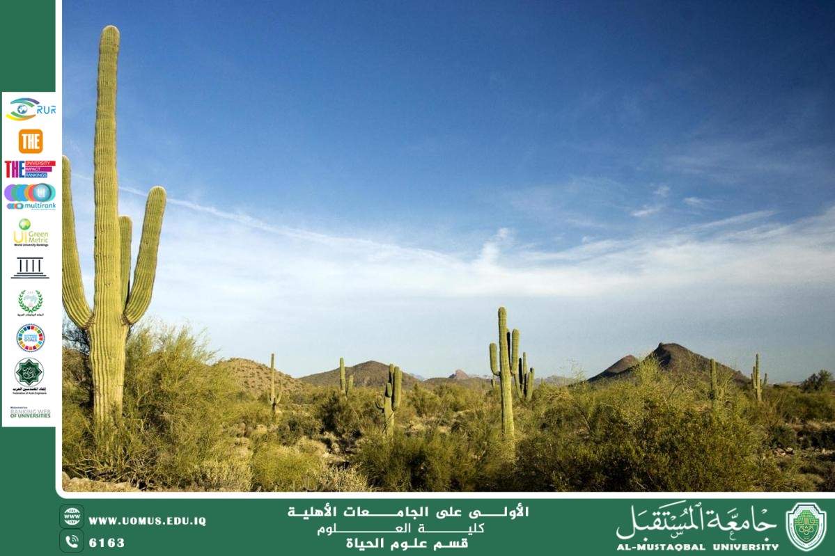A scientific article by Ms. Noor Al-Huda Azmi Hassan entitled "plant adaptations"