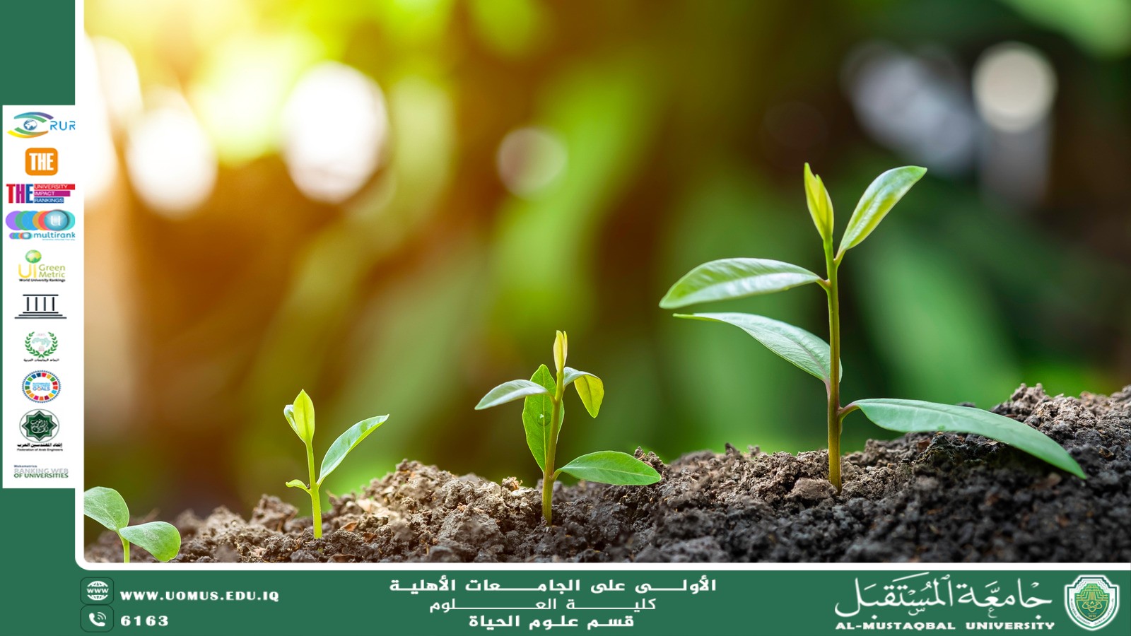 مقالة علمية للانسة نور الهخدى عزمي حسن بعنوان "دور علوم الحياة في تطوير الزراعة المستدامة وحماية البيئة"