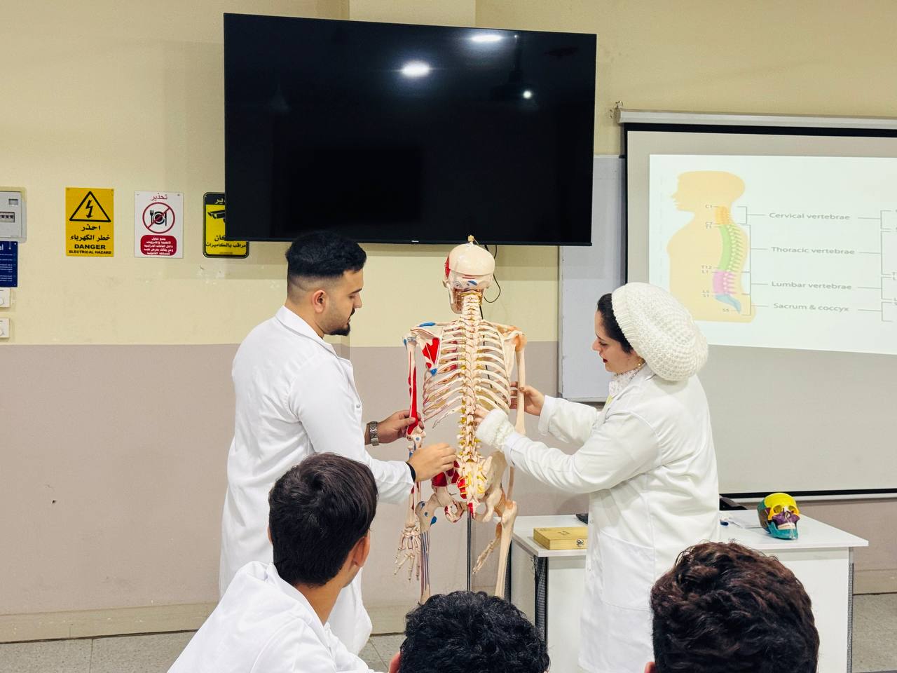 ورشة عملية حول أجزاء جسم الانسان
