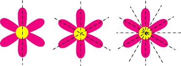 default image