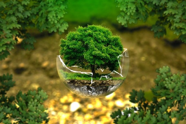 A scientific article by Miss Nour Al-Huda Azmi Hassan entitled " How Eco-friendly Products Help Protect Animal Health and the Environment "