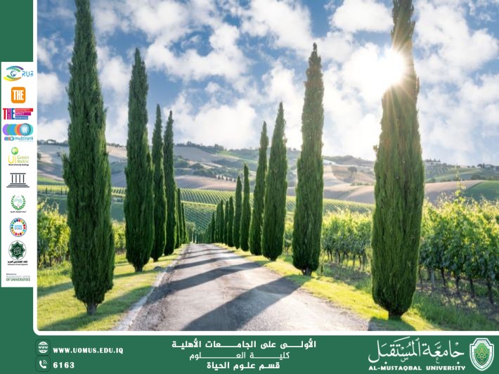 A scientific article by the lecturer ( Zainab Nazim Aziz) entitled “The Cypress Tree”