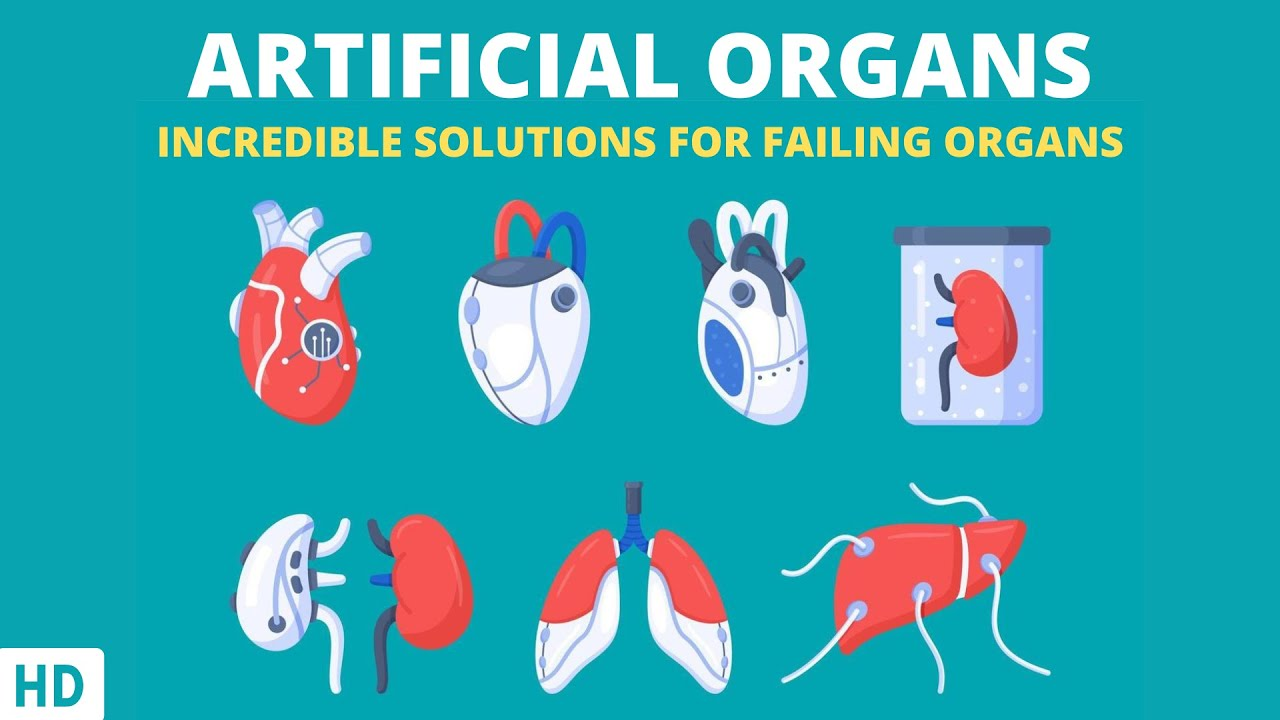 Artificial Organs: Innovations, Applications, and Future Prospects 