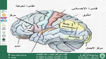 default image