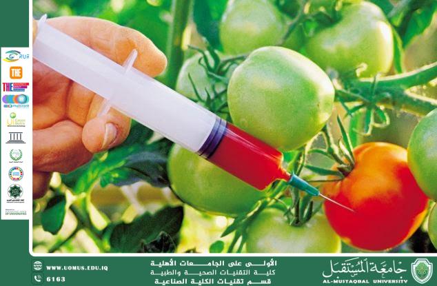 The Role of Genetic Engineering in Improving Agricultural Production and Reducing Food Waste