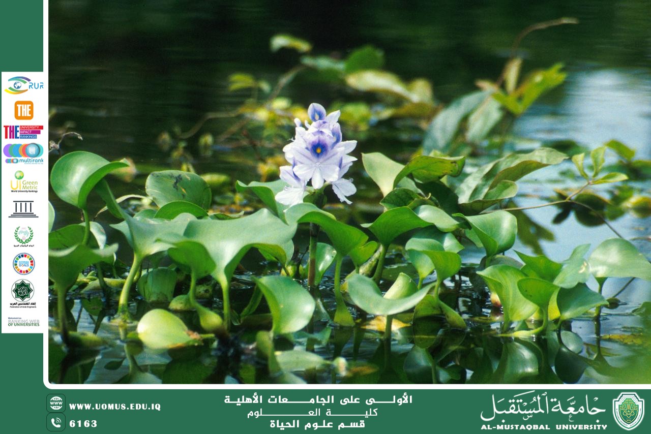 A scientific article by Ms. Nour Al-Huda Azmi Hassan entitled "Aquatic Plants"