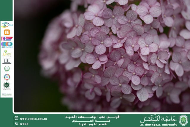 A scientific article by Ms. Nour Al-Huda Azmi Hassan entitled "Flowering Plants"