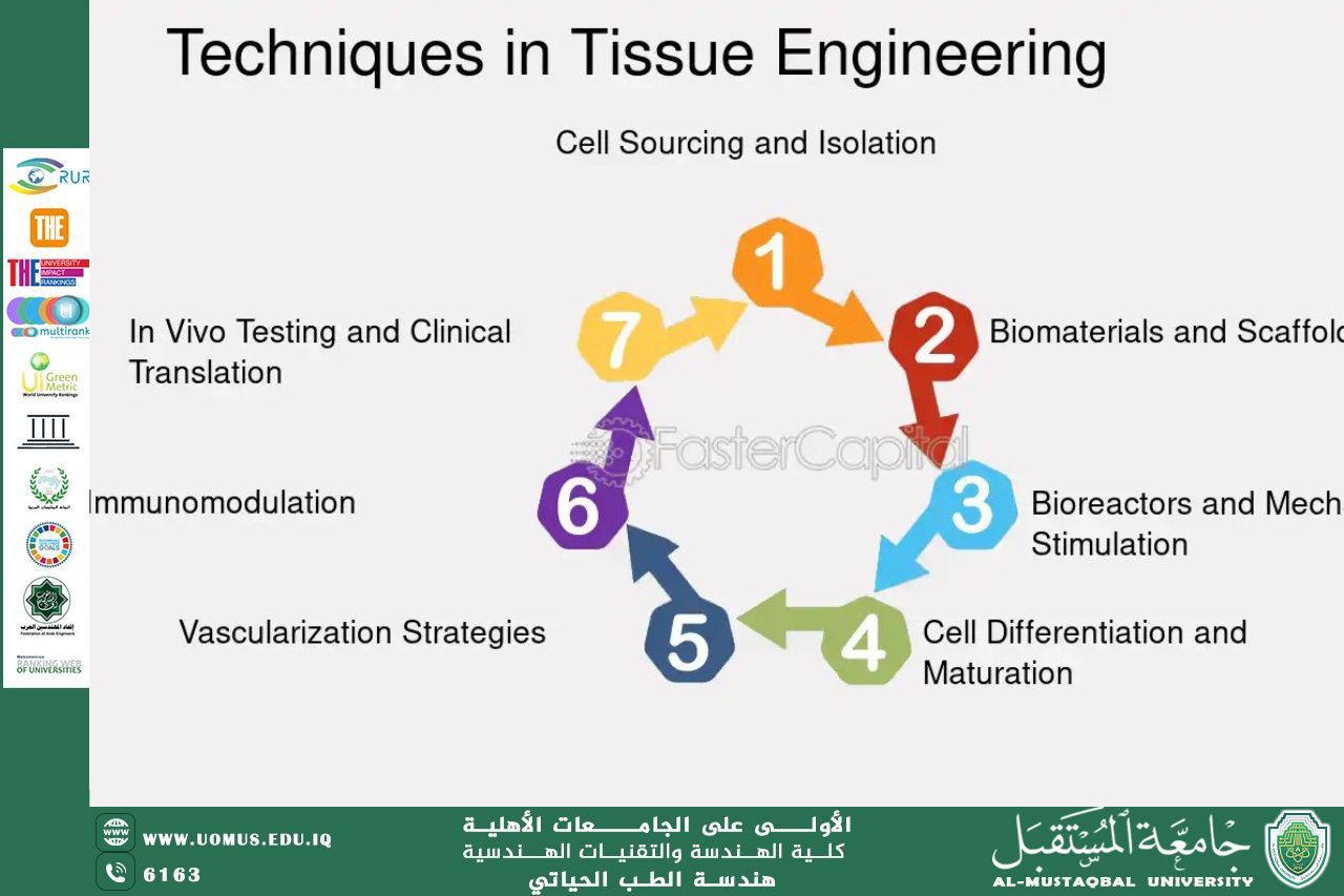 مقالة بعنوان " Techniques in Tissue Engineering "للمهندسة زهراء محمد كاظم