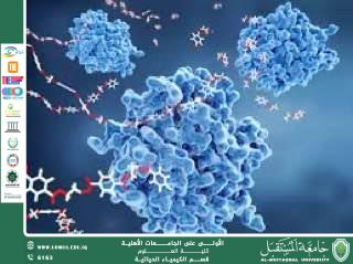 مقالة علمية للمعيدة ايلاف علي بعنوان  دور الإنزيمات في المسارات الأيضية