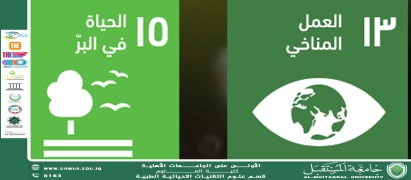 default image