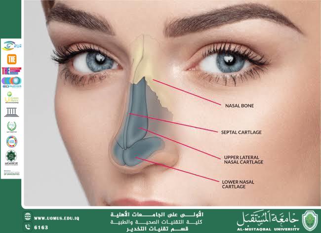 The Relationship Between Anesthesia and Rhinoplasty Surgery.