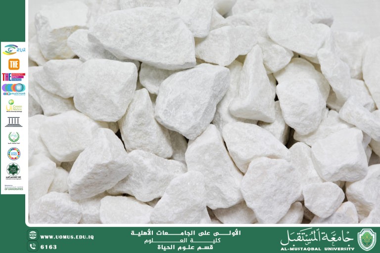 A scientific article by Ms. Nour El-Huda Azmi Hassan entitled "Limestone in biology"