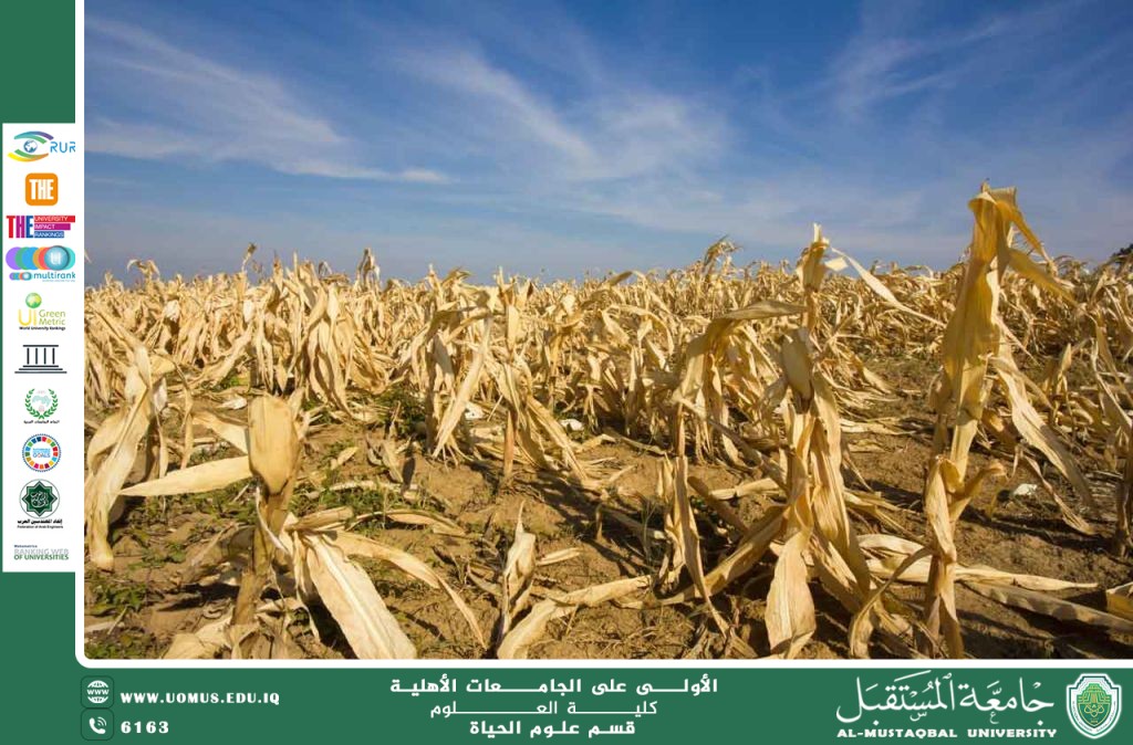 مقالة علمية للمعيدة علا عادل رسمي  بعنوان "الهندسة الوراثية في الزراعة: إنتاج محاصيل مقاومة للجفاف"